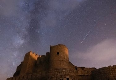 brown concrete building under starry night