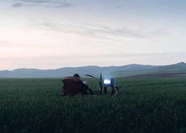 people sitting on grass field during daytime