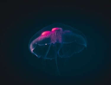 blue and white smoke illustration