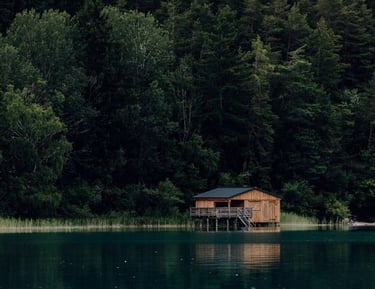 brown wooden house on lake