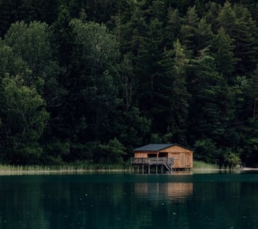 brown wooden house on lake