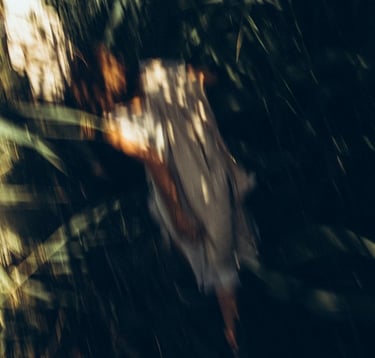 woman in white and brown dress standing on green grass during night time