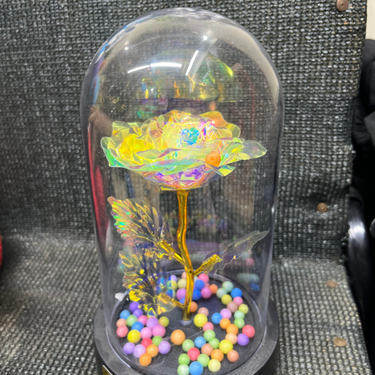 Dekoratif Cam Fanus İçinde sonsuzluk gülü