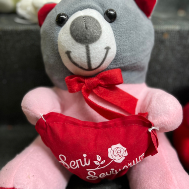 Sevgiliye Peluş Ayıcık