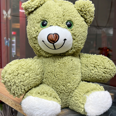 Yeşil peluş ayıcık