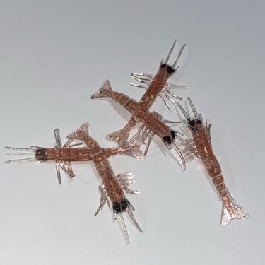 Bezli Silikon Karides 7.5 cm