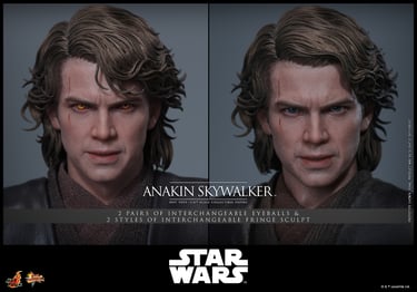 Pre order! Hot Toys MMS839 Star Wars: Revenge of the Sith 1/6