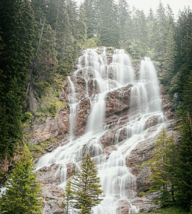 water falls in the forest