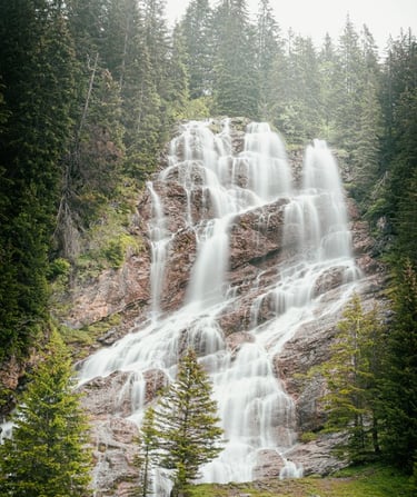 water falls in the forest