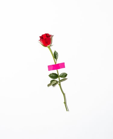 red rose with green leaves