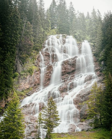 water falls in the forest