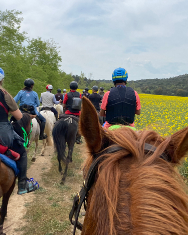 Skåne from horseback (Pic-nic)