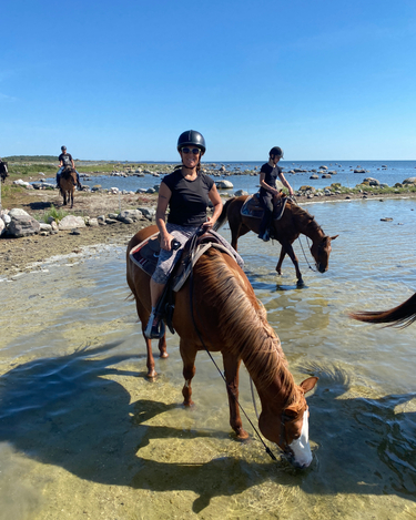 Skåne from horseback (Rise and shine)