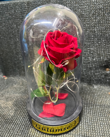 Cam Fanusta Kırmızı Gül Işıklı