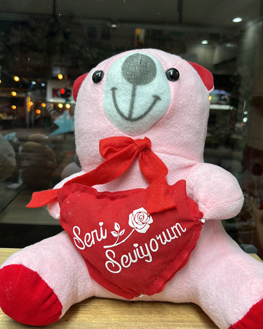 Pembe Peluş Ayıcık