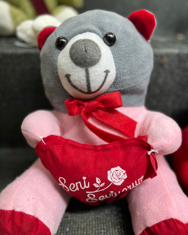 Sevgiliye Peluş Ayıcık