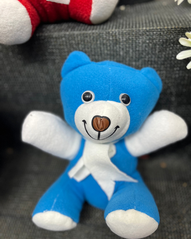 Mavi Peluş Ayıcık