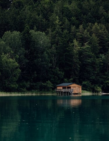 brown wooden house on lake
