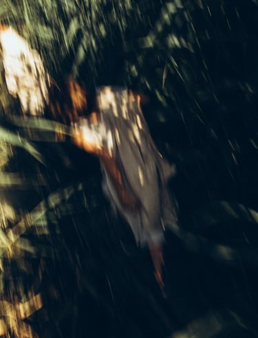 woman in white and brown dress standing on green grass during night time