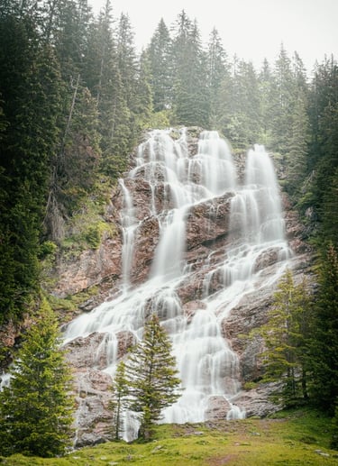 water falls in the forest