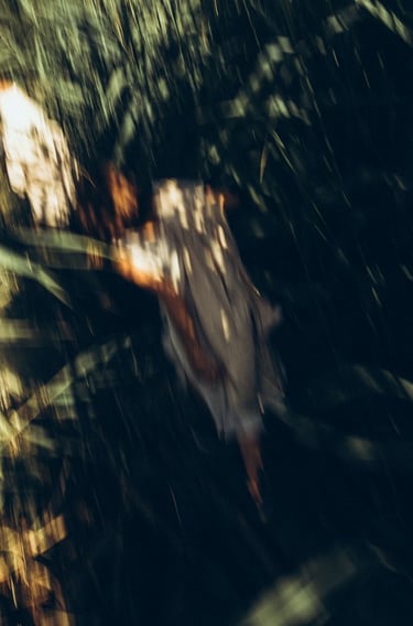 woman in white and brown dress standing on green grass during night time
