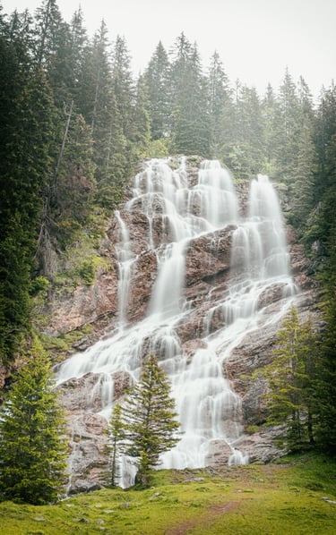 water falls in the forest