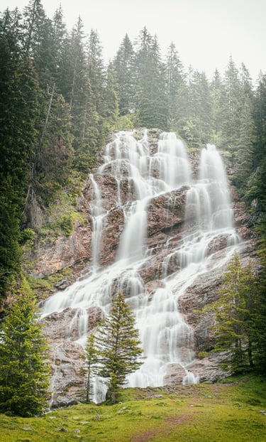 water falls in the forest