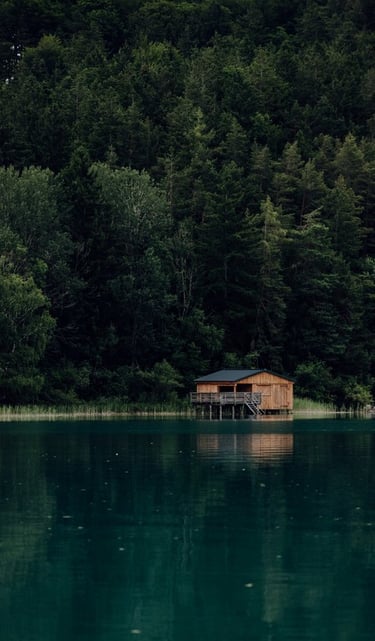 brown wooden house on lake