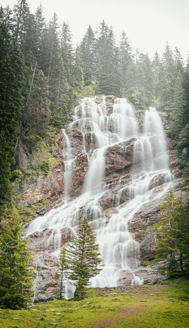 water falls in the forest