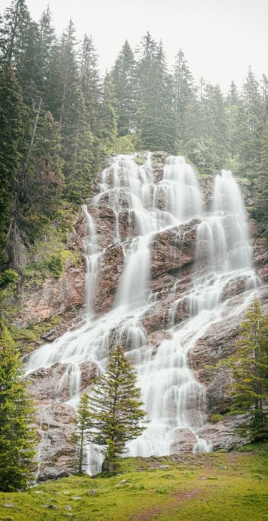 water falls in the forest