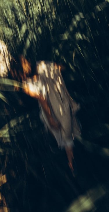 woman in white and brown dress standing on green grass during night time