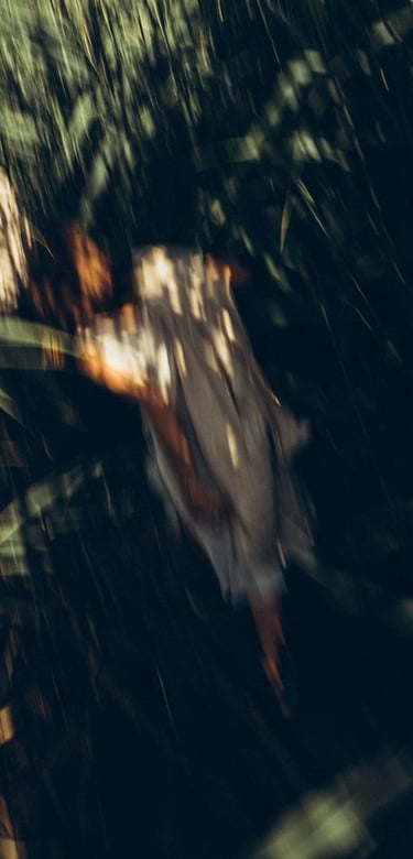 woman in white and brown dress standing on green grass during night time