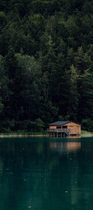 brown wooden house on lake