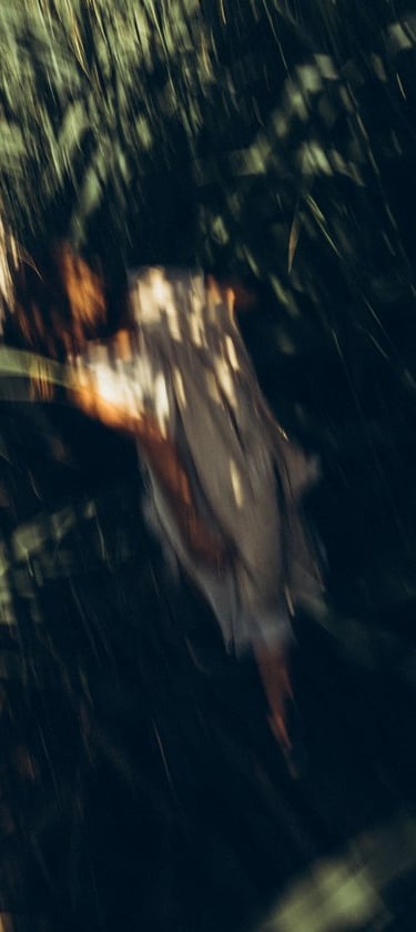 woman in white and brown dress standing on green grass during night time