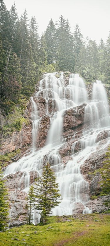 water falls in the forest