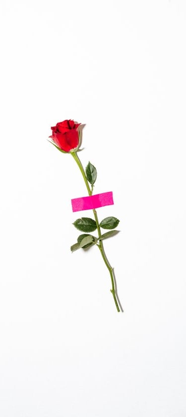 red rose with green leaves