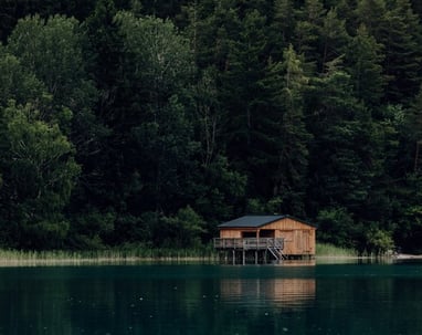 brown wooden house on lake