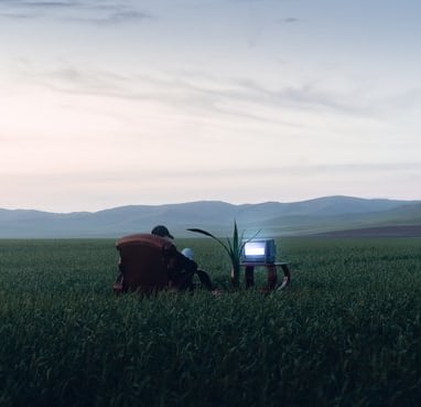 people sitting on grass field during daytime