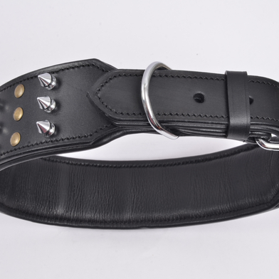 Heavy Collar with Spikes