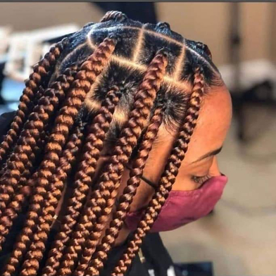 Tangle-Free Jumbo Braids by Tisha USA