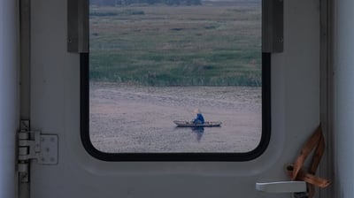 white and brown train door