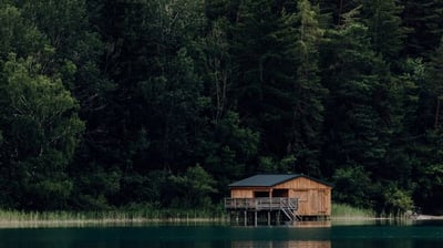 brown wooden house on lake