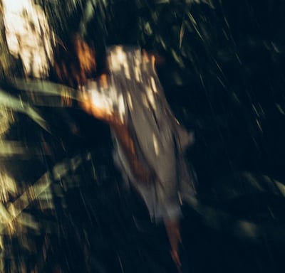 woman in white and brown dress standing on green grass during night time