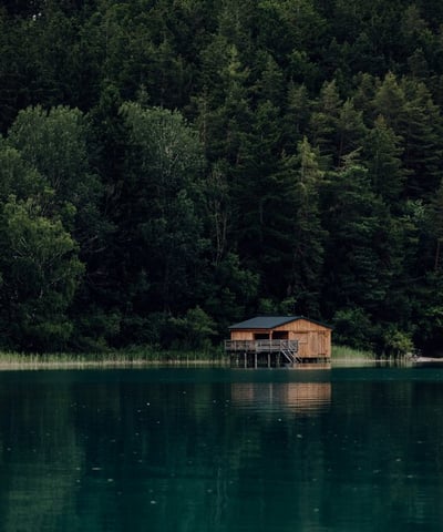 brown wooden house on lake