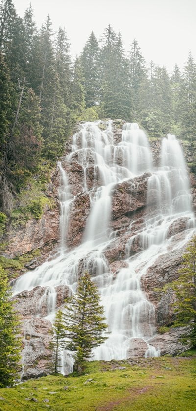 water falls in the forest