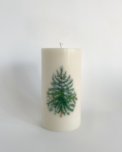 Sapin - Taille M