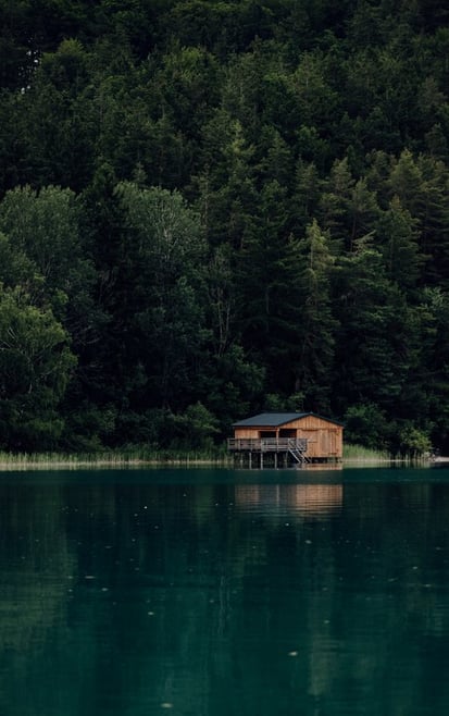 brown wooden house on lake