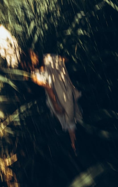 woman in white and brown dress standing on green grass during night time