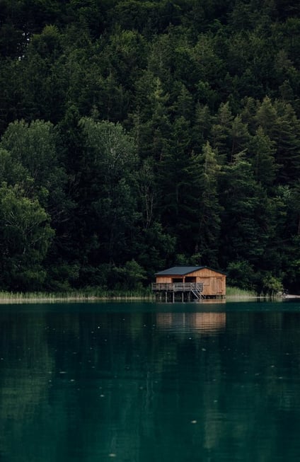 brown wooden house on lake