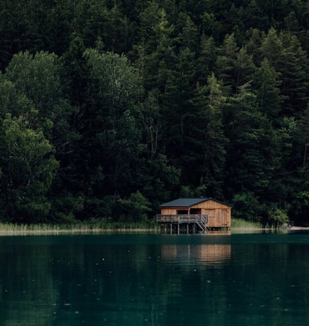 brown wooden house on lake